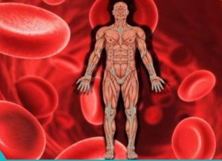 7 პროდუქტი, რომელიც დაგეხმარებათ დაბალი ჰემოგლობინის მომატებაში