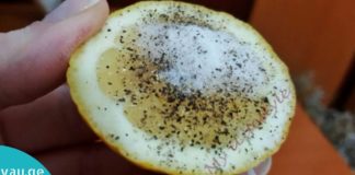 ლიმონს, მარილს და წიწაკას შეუძლია ამ 7 ჯანმრთელობის პრობლების გადაჭრა ფულის ხარჯვის გარეშე.