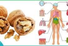 ნიგოზი დაგიბრუნებთ ახალგაზრდობას. უბრალოდ მიირთვით ის ამ მეთოდით!