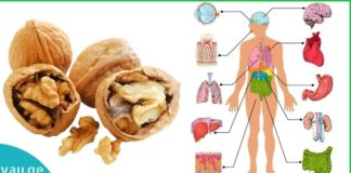 ნიგოზი დაგიბრუნებთ ახალგაზრდობას. უბრალოდ მიირთვით ის ამ მეთოდით!