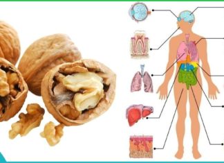 ნიგოზი დაგიბრუნებთ ახალგაზრდობას. უბრალოდ მიირთვით ის ამ მეთოდით!