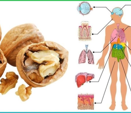 ნიგოზი დაგიბრუნებთ ახალგაზრდობას. უბრალოდ მიირთვით ის ამ მეთოდით!