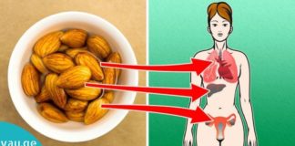 ჩაყარეთ ნუში წყალში, დატოვეთ ღამით და მეორე დღეს მიირთვით. შედეგი გაგაოცებთ.