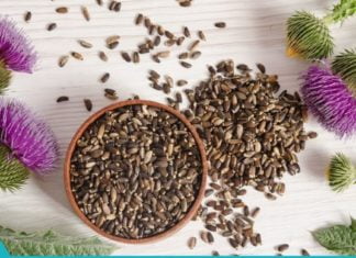 ნარშავის 7 უპირატესობა. როგორ გავზარდოთ და გამოვიყენოთ ეს მცენარე?!