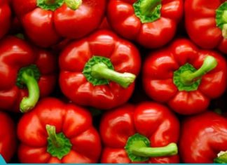 წაიკითხეთ, რატომ არის ბულგარული წიწაკა ყელაზე ძლიერი ბოსტნეული!