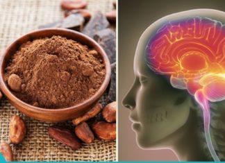 ორი ახალი სამეცნიერო მტკიცებულება, იმისა რომ კაკაო შესანიშნავია ჩვენი ტვინისთვის!