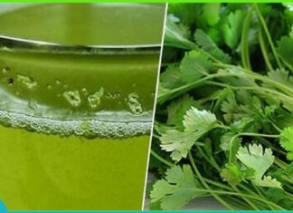 აიურვედა გირჩევთ: მცენარის 4 სახეობა ჯადოსნურად ასუფთავებს მთელს სხეულს!