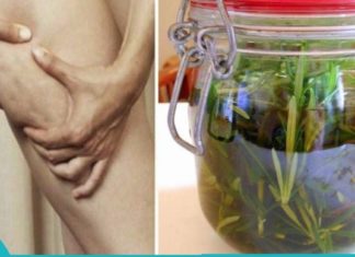 როგორ მოვამზადოთ როზმარინის სპირტი, რომ თავიდან ავიცილოთ პოდაგრა, ვარიკოზული ვენები, კუნთების ტკივილი და ცელულიტი!