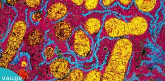 რა ახდენს გავლენას მეტაბოლიზმზე: 6 ფაქტორი.