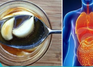 ნიორი თაფლით არის თქვენი ჯანმრთელობის ნამდვილი გასაღები.