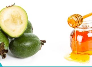 ფეიხოა თაფლით- გაიგეთ რა დაავადებებს კურნავს ეს საოცარი ნაზავი. ყველაზე ღირებული რეცეპტი!