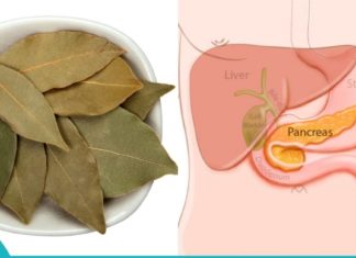 რა ეფექტს ახდენს დაფნის ფოთოლი პანკრეასზე