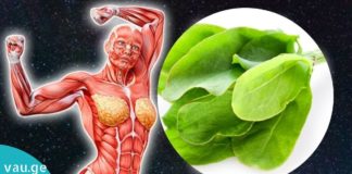 მჟაუნას სასარგებლო თვისებები. ნეტავ აქამდე მცოდნოდა