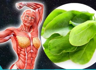 მჟაუნას სასარგებლო თვისებები. ნეტავ აქამდე მცოდნოდა