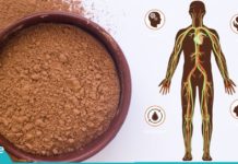 დაუჯერებელი ფაქტები კაკაოს შესახებ! გაიგეთ, რატომ არის აუცილბელი კაკაოს დალევა, განსაკუთრებით, თუ 40 წლის ზემოთ ხართ!