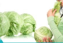 კომბოსტოს სასარგებლო თვისებები ჩვენი ჯანმრთელობისთვის.