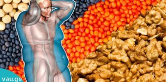 ყველაზე სასაგებლო თხილის სახეობები. საჭირო ინფორმაციაა