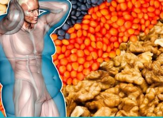 ყველაზე სასაგებლო თხილის სახეობები. საჭირო ინფორმაციაა