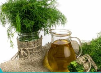 კამით მომზადებული საოცარი რეცეპტი თქვენი ჯანმრთელობისთვის. გაიგეთ, რამდენ დავადებას კურნავს ის