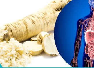 პირშუშხა- საუკეთესო ნატურალური ანტიბიოტიკი