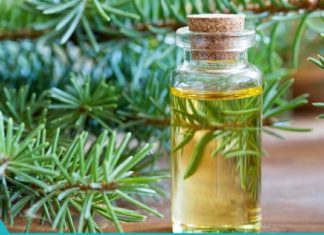 ნაძვის ზეთი – დამტკიცებული საშუალება მრავალი დაავადების სამკურნალოდ.