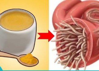 ექიმი შულცის სამკურნალო ნარევი – კლავს ყველა პარაზიტს და ვირუსს.