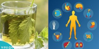 ჭინჭრის სამკურნალო თვისებები, რომლებიც უნდა იცოდეთ