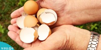 Მას შემდეგ რაც წაიკითხავთ ამ სტატიას, აღარასდროს გადაყრით კვერცხის ნაჭუჭს