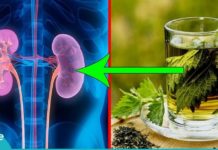 როგორ გავიწმინდოთ თირკმელები უმოკლეს დროში.