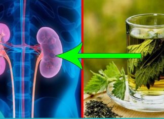 როგორ გავიწმინდოთ თირკმელები უმოკლეს დროში.