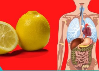 დღეში მხოლოდ ერთი ლიმონია საჭირო თქვენი ჯანმრთელობისთვის!