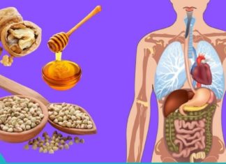 უნიკალური კომბინაცია – წიწიბურა, თაფლი, ნიგოზი!