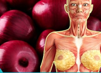 წითელი ხახვი ერთ-ერთი საუკეთესო ბუნებრივი ანტიბიოტიკია!