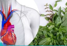 როგორ ვუმკურნალოთ გულს ბალახებით