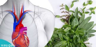 როგორ ვუმკურნალოთ გულს ბალახებით