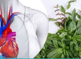 როგორ ვუმკურნალოთ გულს ბალახებით