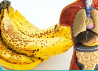 20 მიზეზი თუ რატომ უნდა ჭამოთ ბანანი და რა სარგებელი აქვს ორგანიზმისთვის
