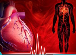 როგორ გავაუმჯობესოთ სისხლის მიმოქცევა მედიკამენტების გარეშე.