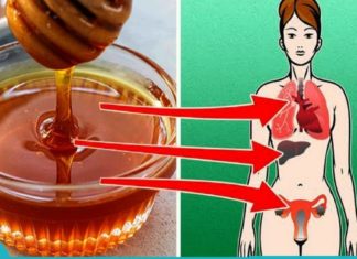 მიირთვით თაფლი ყოველ დღე და თქვენს სხეულში მოხდება ეს 8 ცვლილება