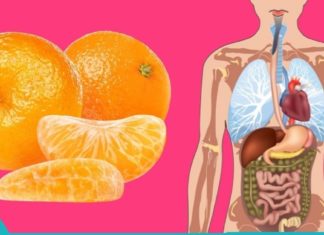 უდიდესი სარგებელი, რისი მოტანაც მანდარინს შეუძლლია