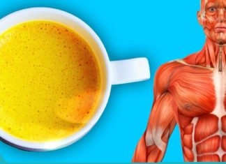 რძე კურკუმით ამაგრებს ძვლებს და იმინურ სისტემას. გაიგეთ მეტი “ოქროს რძის” შესახებ