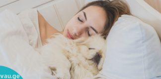 Შინაურ ცხოველებთან ძილი: კარგია თუ ცუდი თქვენი ჯანმრთელობისთვის?