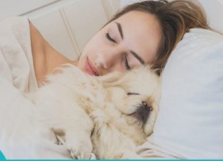 Შინაურ ცხოველებთან ძილი: კარგია თუ ცუდი თქვენი ჯანმრთელობისთვის?