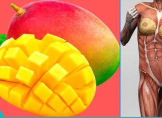 მანგოს სამკურნალო თვისებებზე გსმენიათ? Მანგო შეანიშნავად არეგულირებს სისხლში შაქარის დონეს და სხვა უამრავ რამეს აწესრიგებს