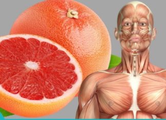 ის, რაც აქამდე არ იცოდით გრეიფრუტის შესახებ
