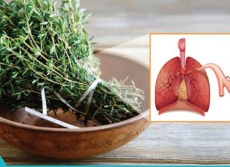 ფილტვების წმენდა ბალახეულით