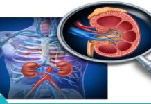 თირკმელების მკურნალობა ძველი დადასტურებული რეცეპტებით