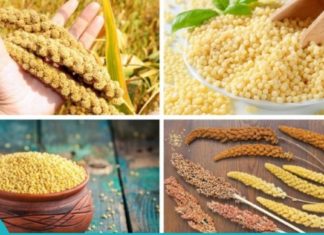 ამ მარცვლეულმა გააკვირვა ექიმები: ის აკონტროლებს დიაბეტს და მთლიანად აღადგენს ღვიძლისა და თირკმელების მუშაობას