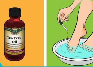 Ძალიან სასარგებლო რჩევები ჩაის ხის ზეთის გამოყენების შესახებ