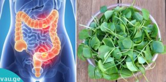 Მსოფლიოში ყველაზე ჯანსაღი, სამკურნალო მცენარე, რომლის არსებობა ყველამ დაივიწყა!